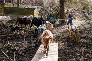 Auf Hof Pr&auml;dikow leben und arbeiten viele Familien und Stadtgefl&uuml;chtete.