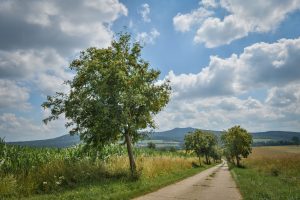 Wander- und Urlaubsregion Mittelgebirge
