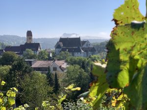Schloss Blumenfeld in Tengen