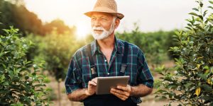 Im Hintergrund geht die Sonne langsam unter. Im Vordergrund steht auf einem Feld umringt von vielen Str&auml;uchern ein &auml;lterer Herr mit Hut auf dem Kopf und Tablet in der Hand.
