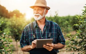 Im Hintergrund geht die Sonne langsam unter. Im Vordergrund steht auf einem Feld umringt von vielen Str&auml;uchern ein &auml;lterer Herr mit Hut auf dem Kopf und Tablet in der Hand.